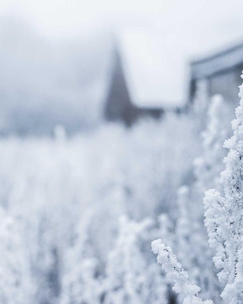 Mekanik Otomasyon genel bakış görseli