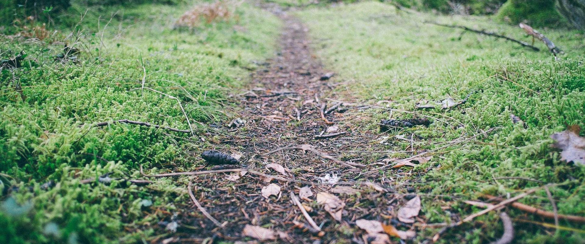 Teknik Servis ve Hijyen