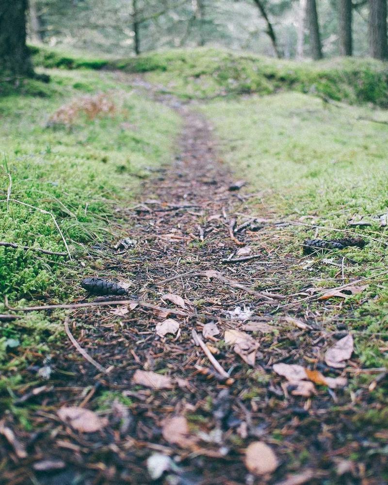 Teknik Servis ve Hijyen genel bakış görseli