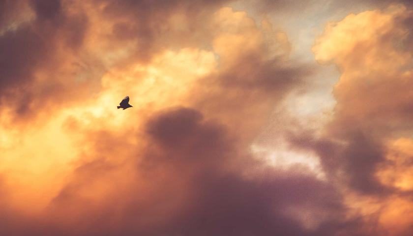 Gıda Tesisi Gaz Dönüşümü