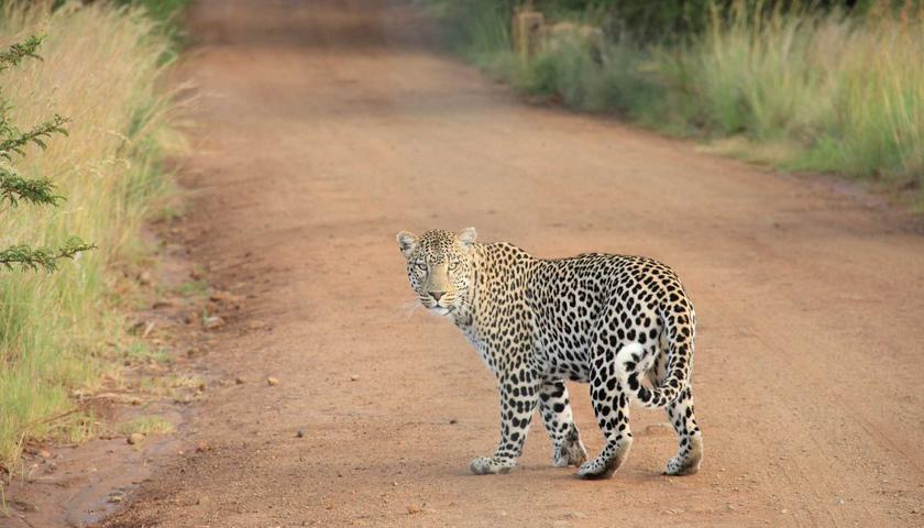 Üniversite Hastanesi Sprinkler Altyapısı