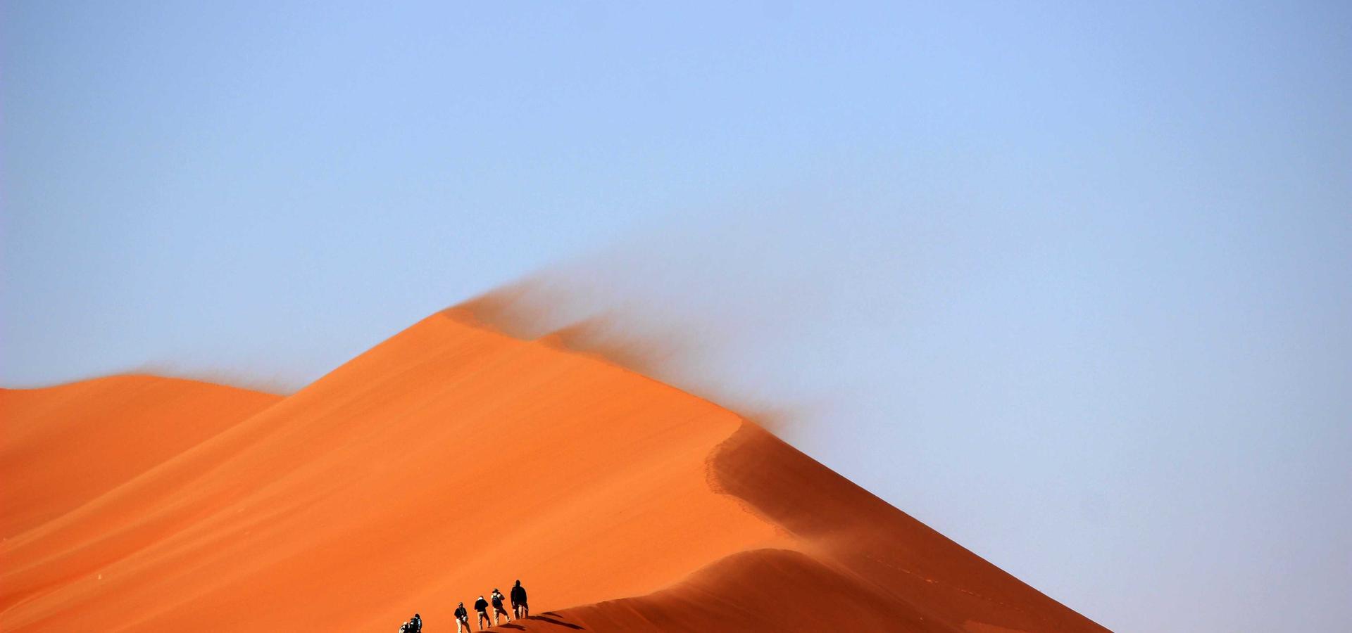 Endüstriyel Proje Sahası