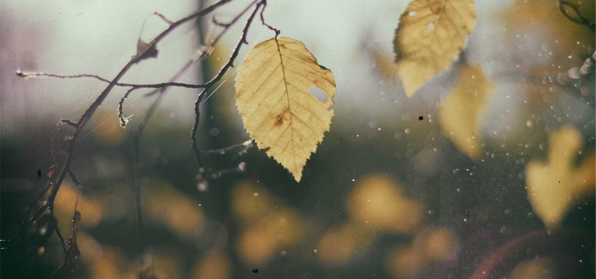 ZMF Mühendislik Referanslar